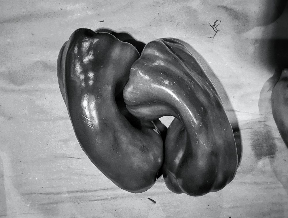 Photograph by Cristina Franceschini