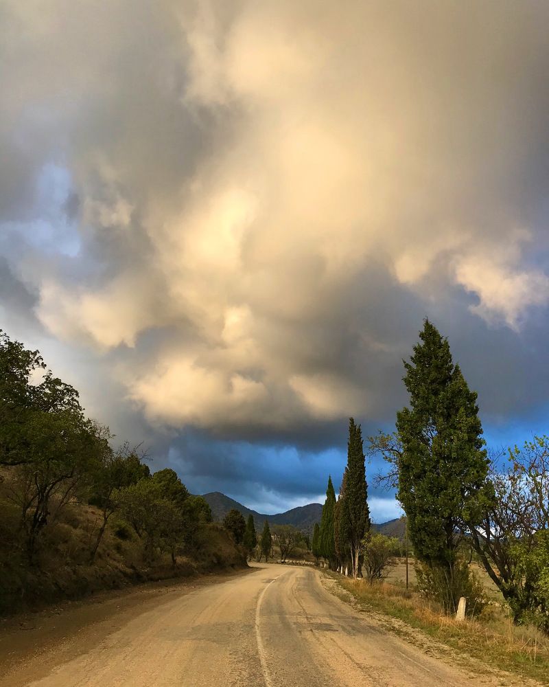 Дорога к морю