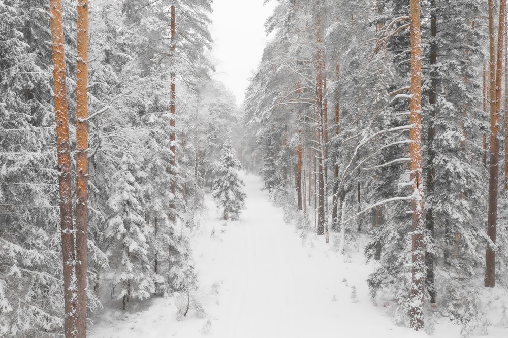 Photograph by Vladimir Golubev