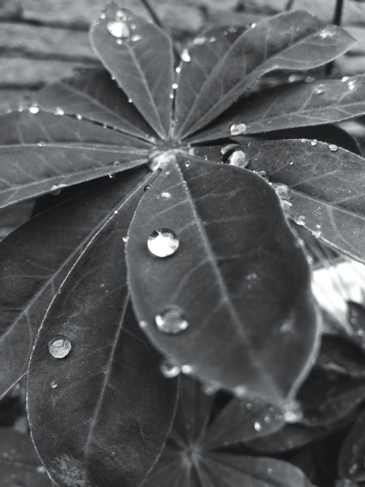 Photograph by Дмитрий Билько