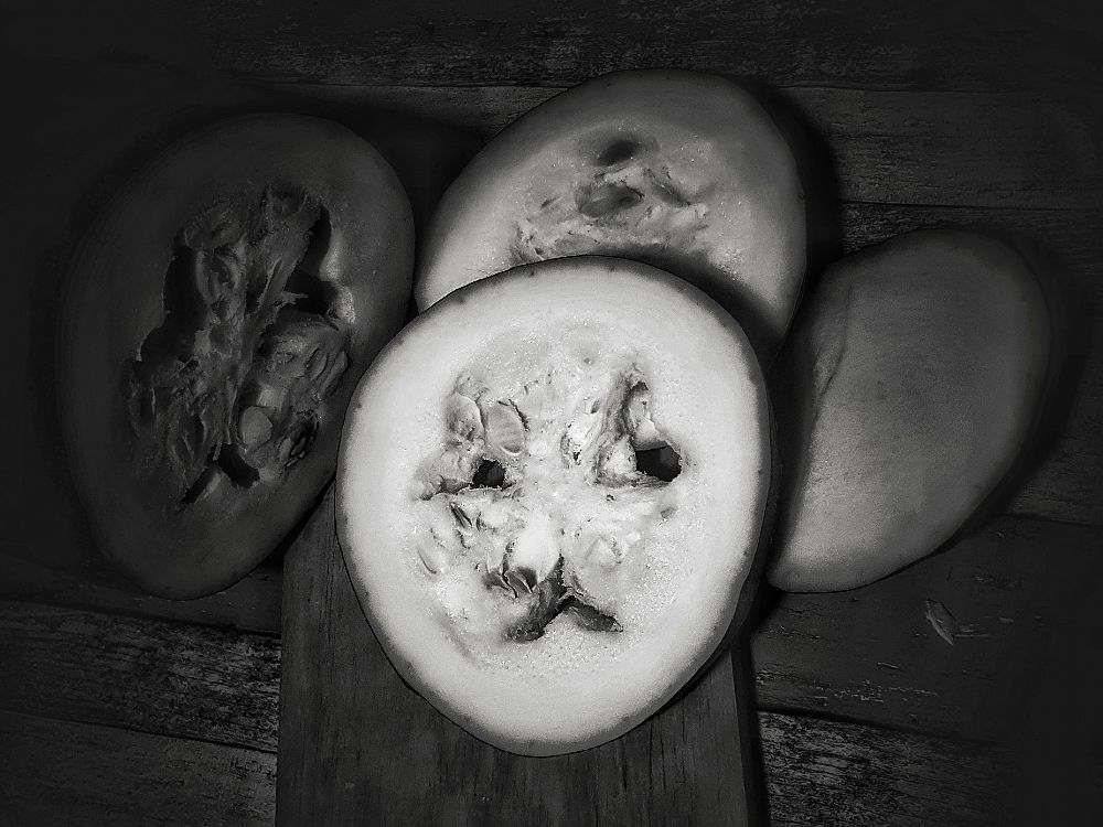 Photograph by Cristina Franceschini