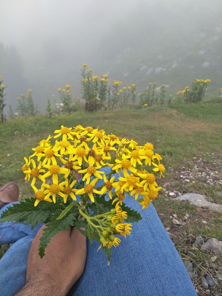 Photo #5694735