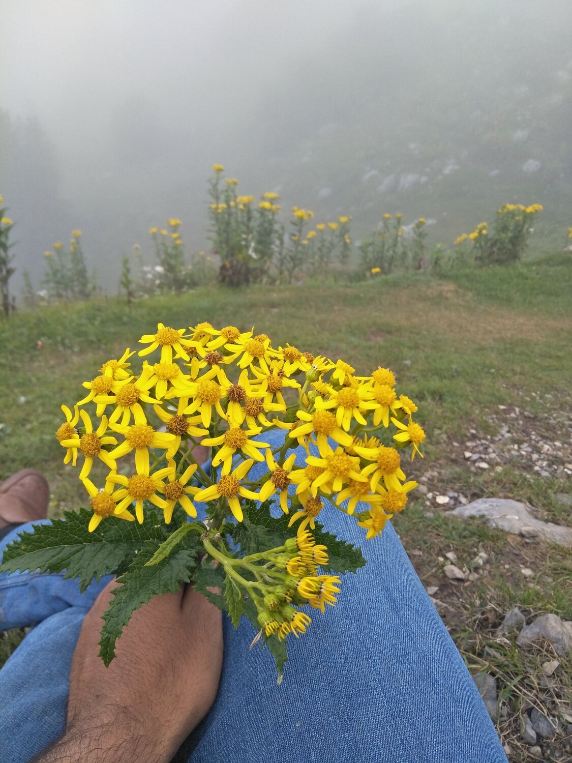 Photo #5694735
