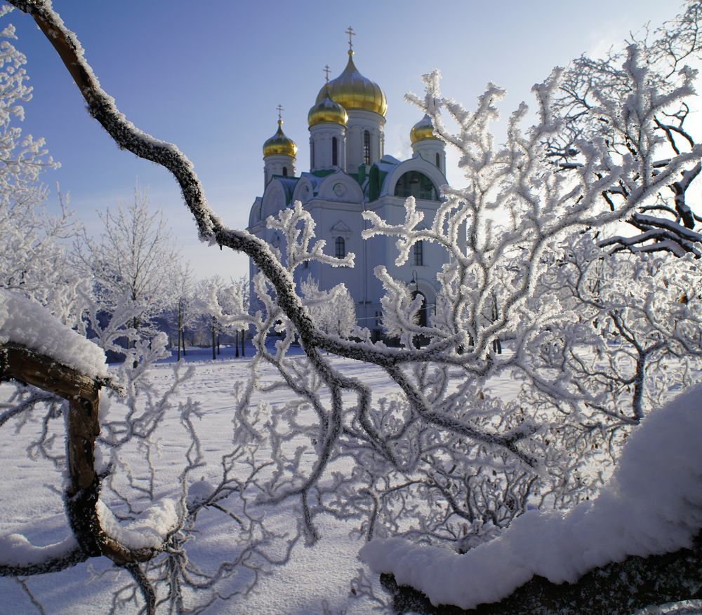 Catherine's Cathedral. Pushkin. Saint-Petersburg.