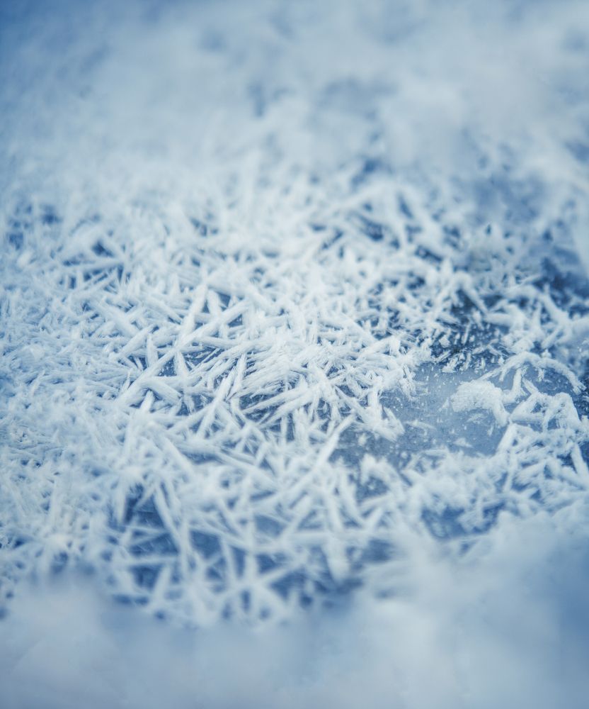 Фотография автора Юлия Капустинская