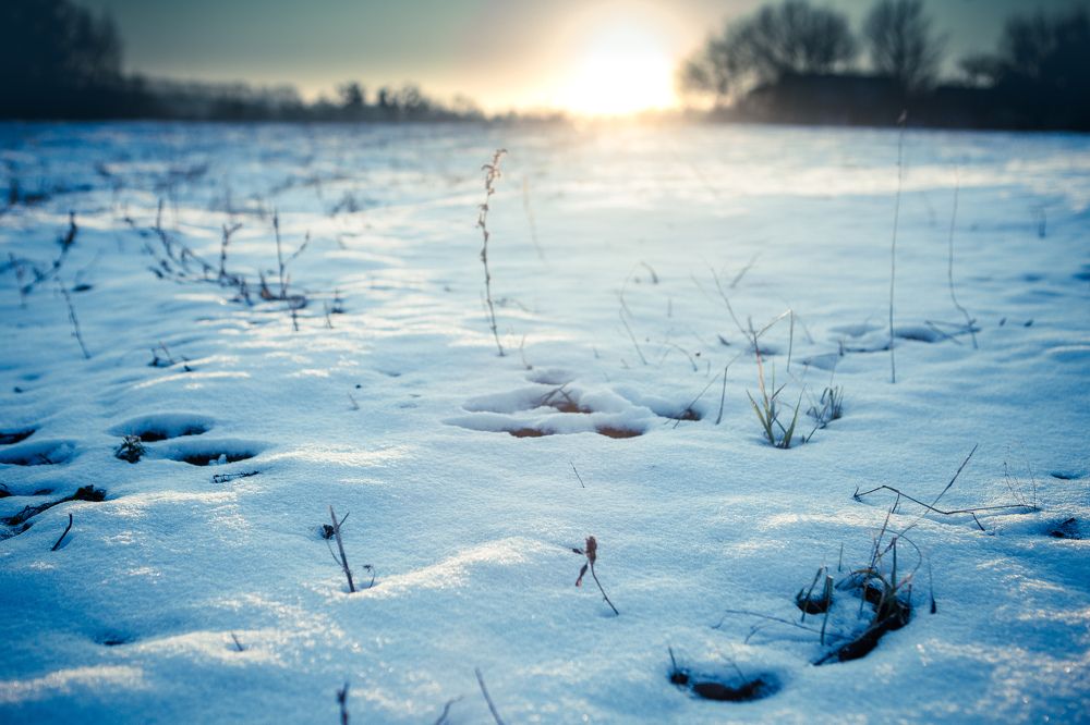Фотография автора Юлия Капустинская