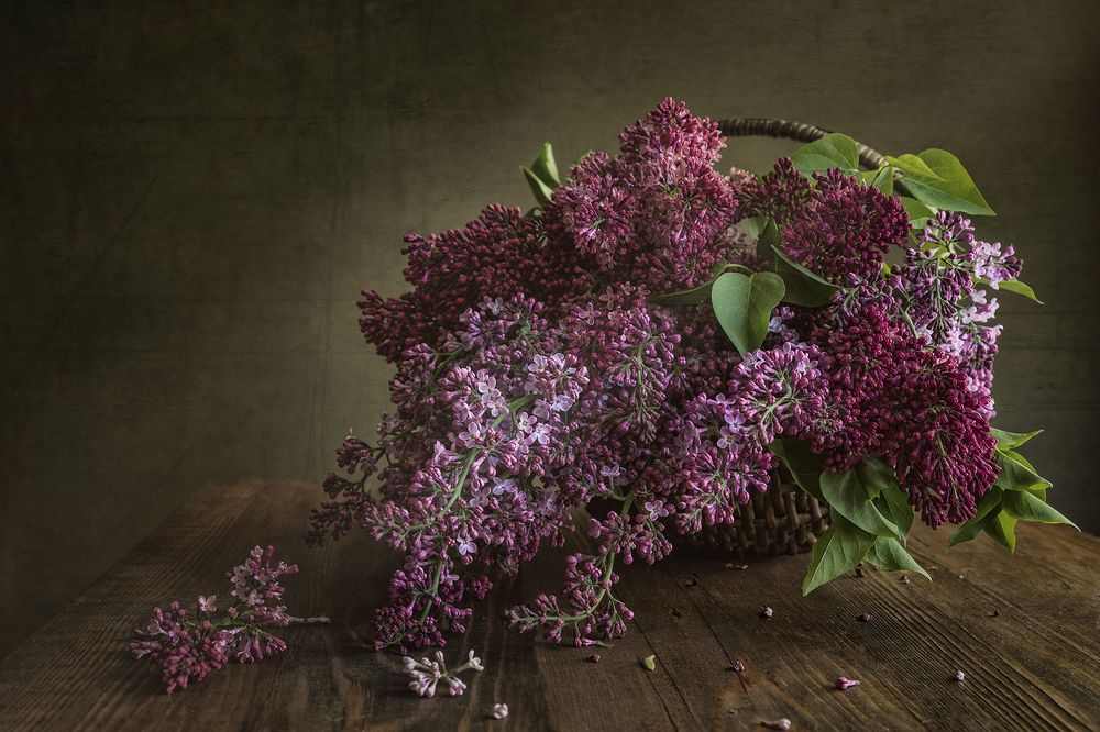 Я подарю тебе букет сирени...