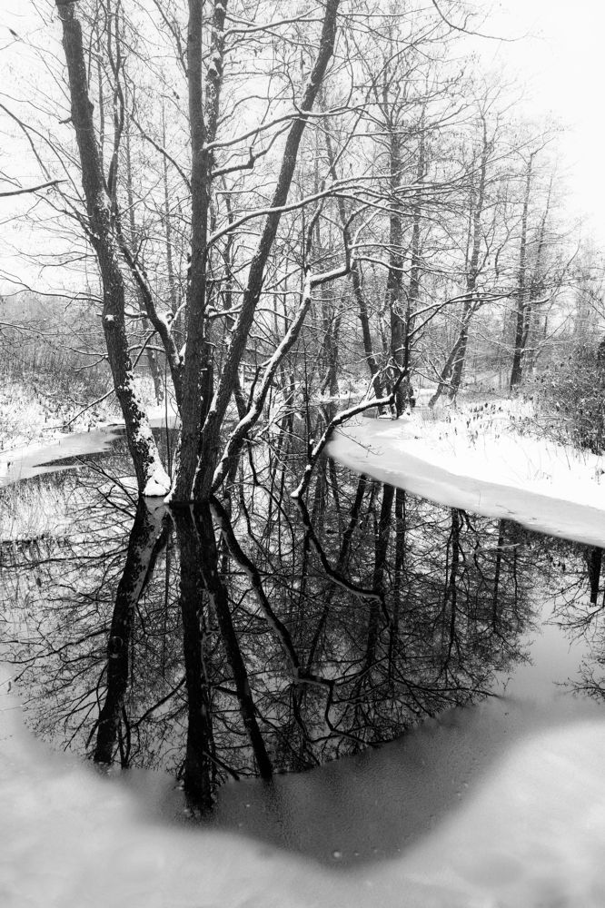 Фотография автора Татьяна Гореславец