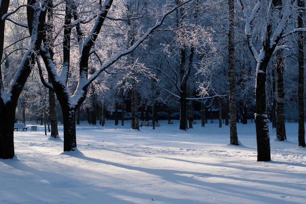 Photograph by Татьяна Юдина