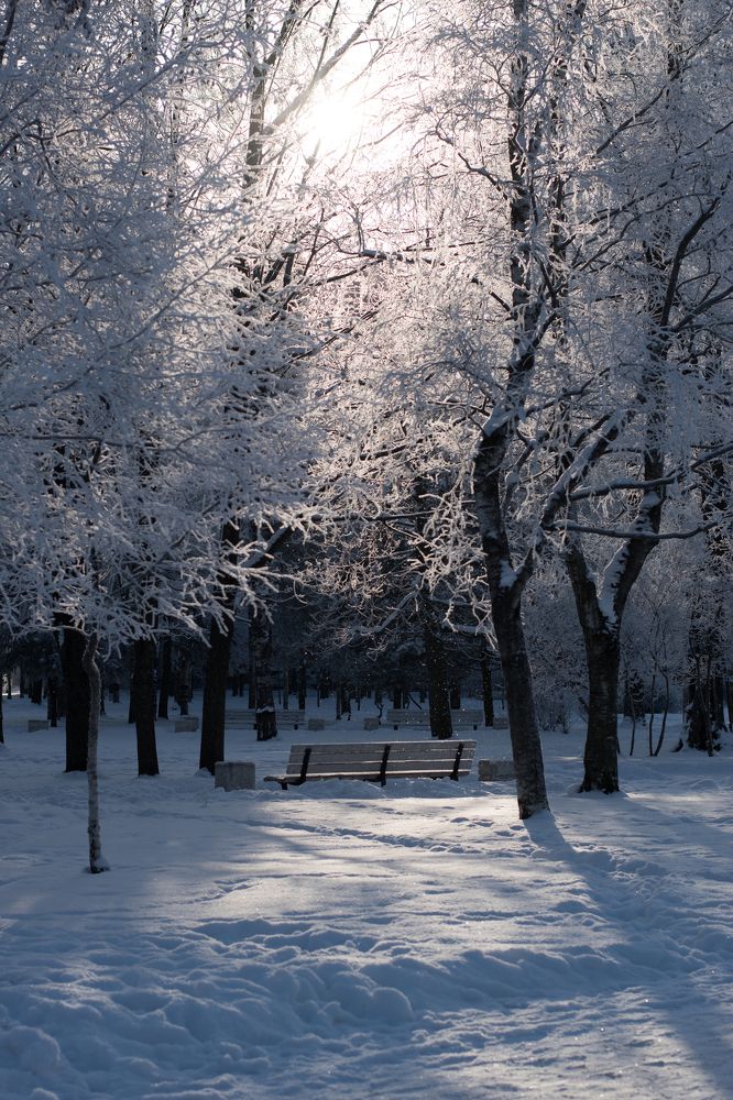 Photograph by Татьяна Юдина