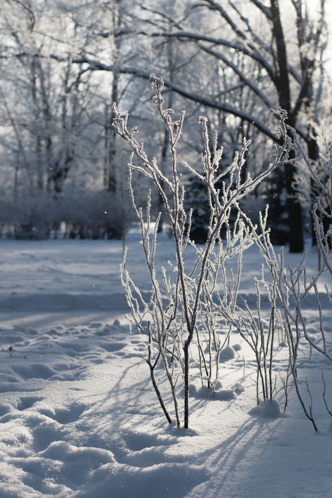 Photograph by Татьяна Юдина