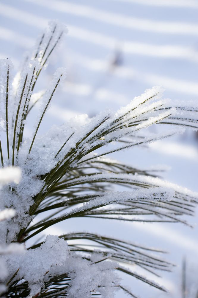 Photograph by Наталья Мотрий