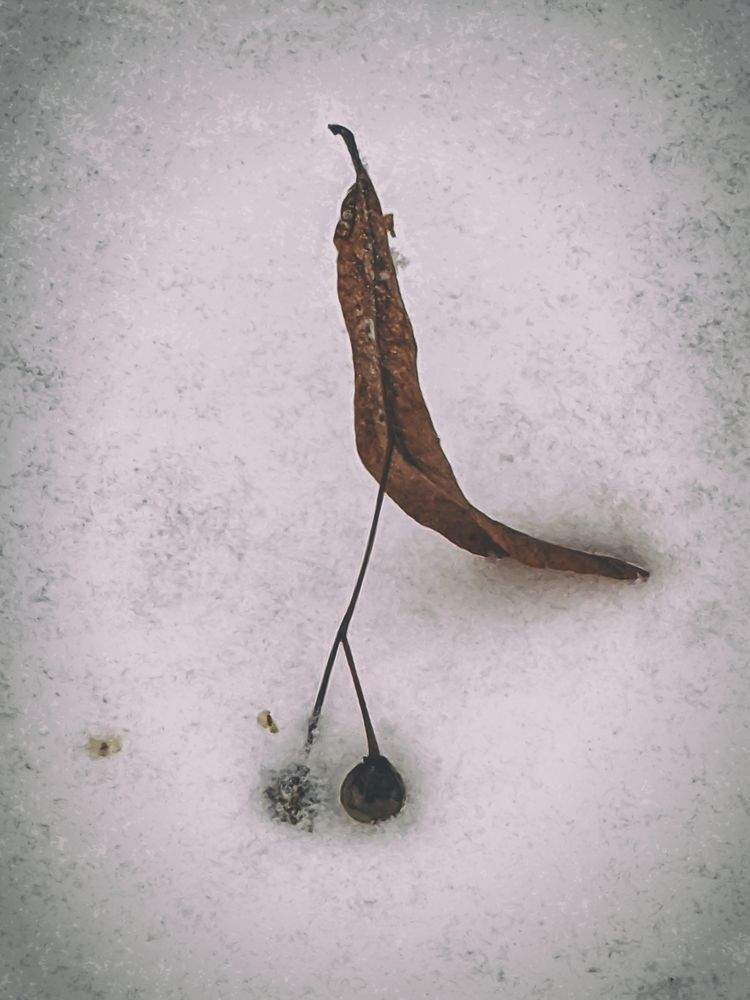 Photograph by Екатерина Рябинина