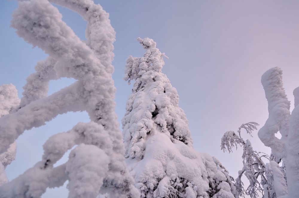 Колпаки. Кухта.