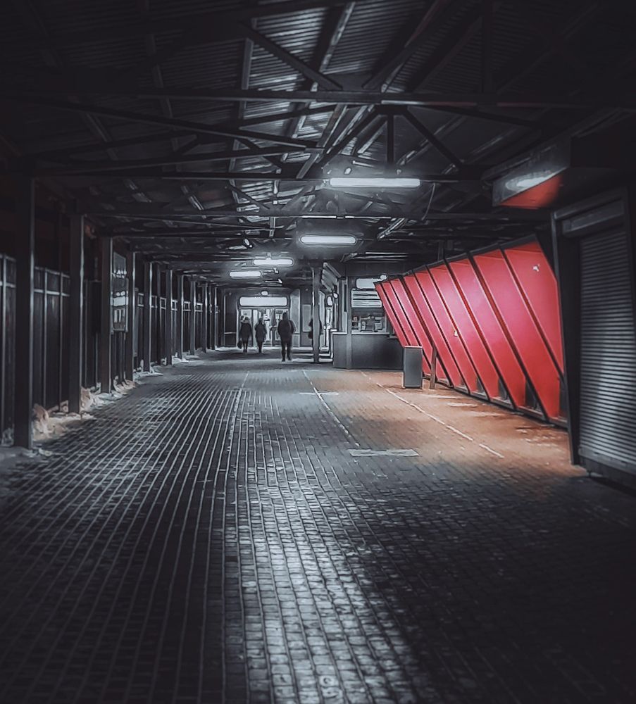 Photograph by Serguei Boukarev