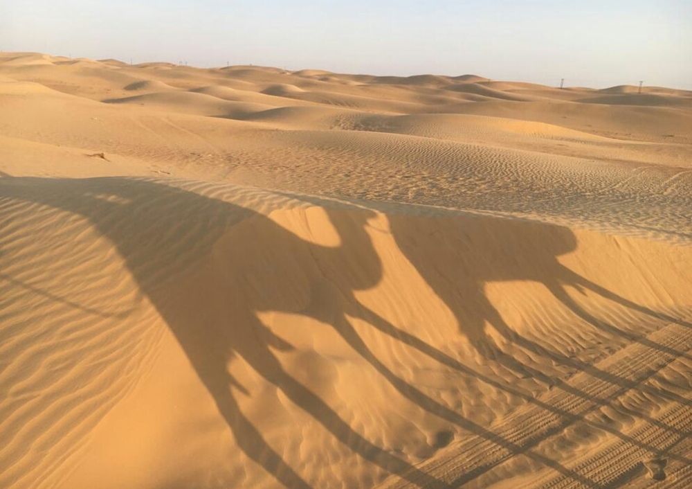 Photograph by Евгений Савулькин