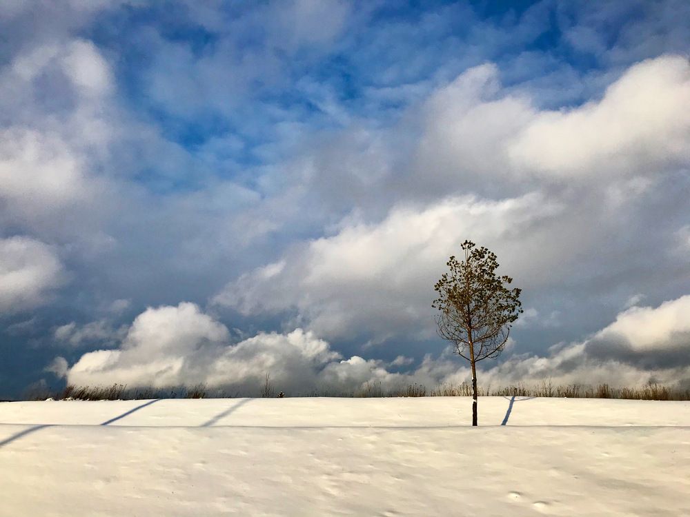 Photograph by Мария Фомина