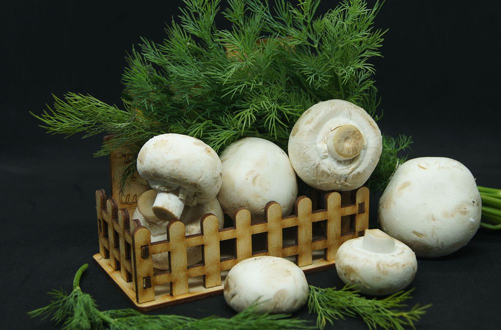 Photograph by Наталья