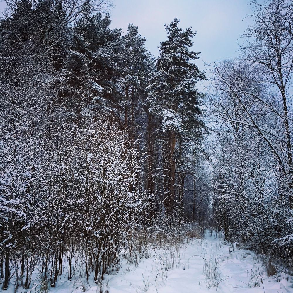 Photograph by Мария Фомина