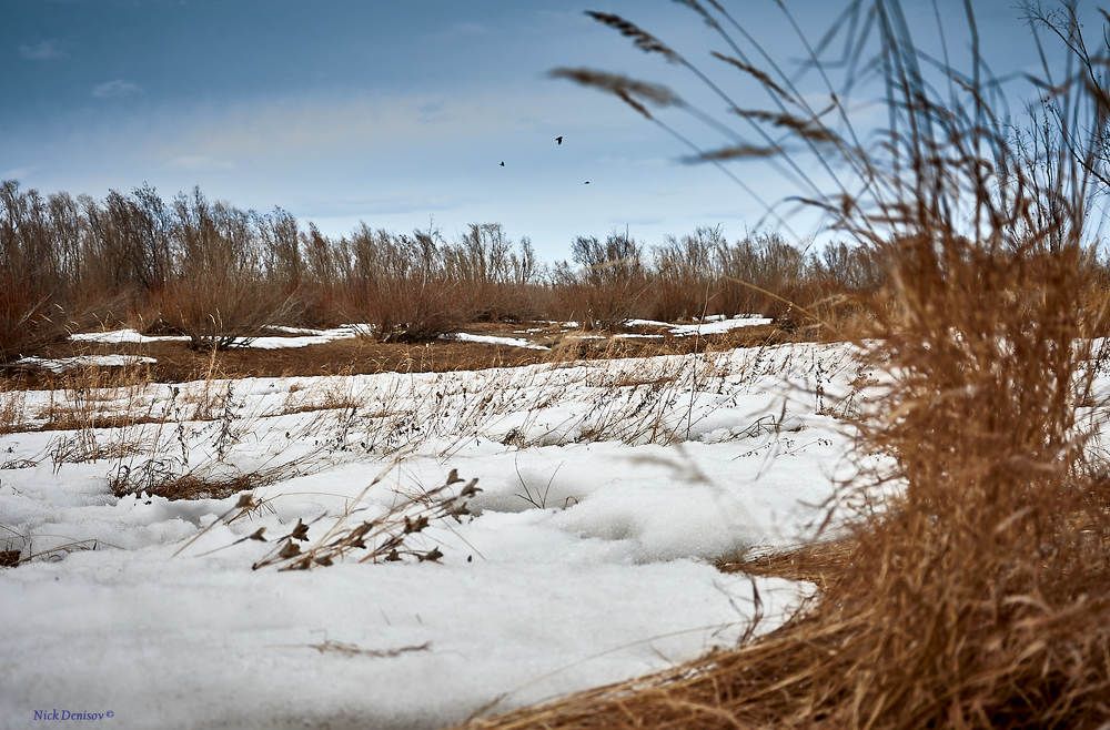 Photograph by  Nick Den