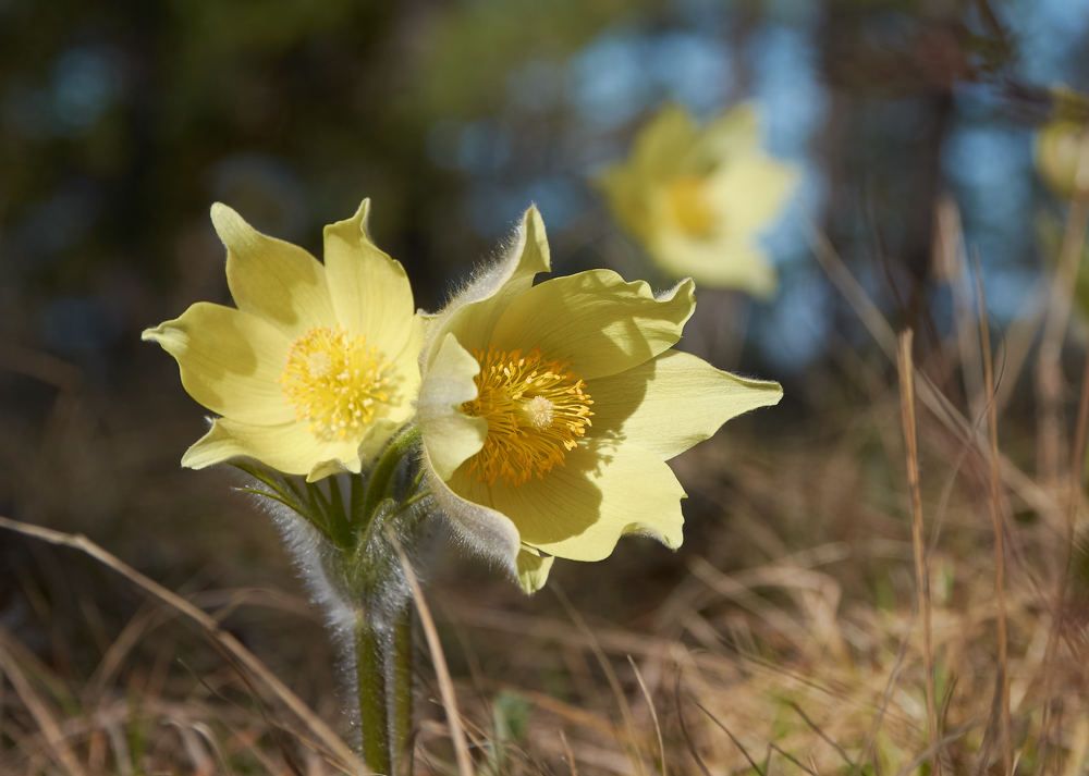 Photograph by  Nick Den