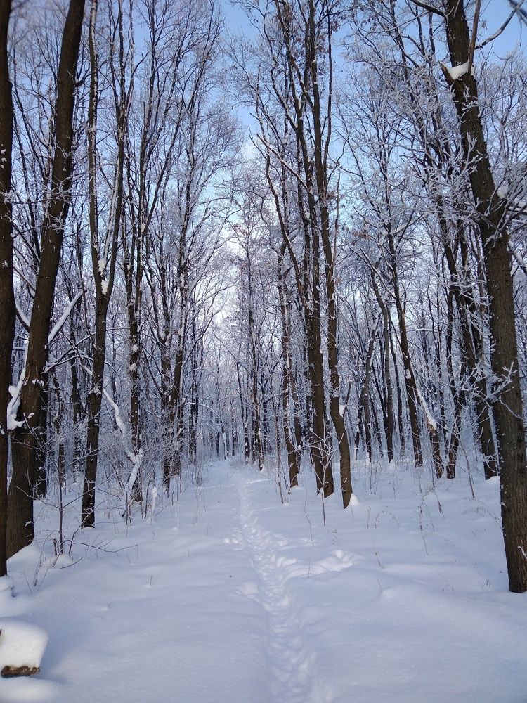 Photo #5695340