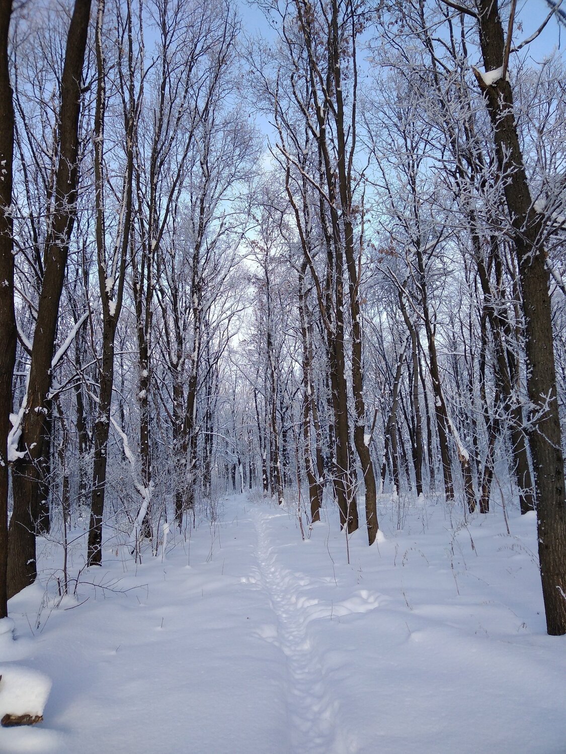 Photo #5695340