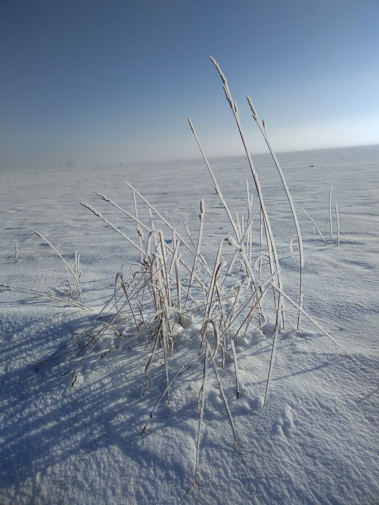 Photo #5695352