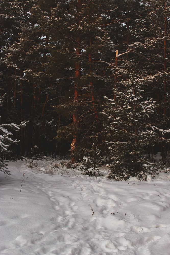 По следам...