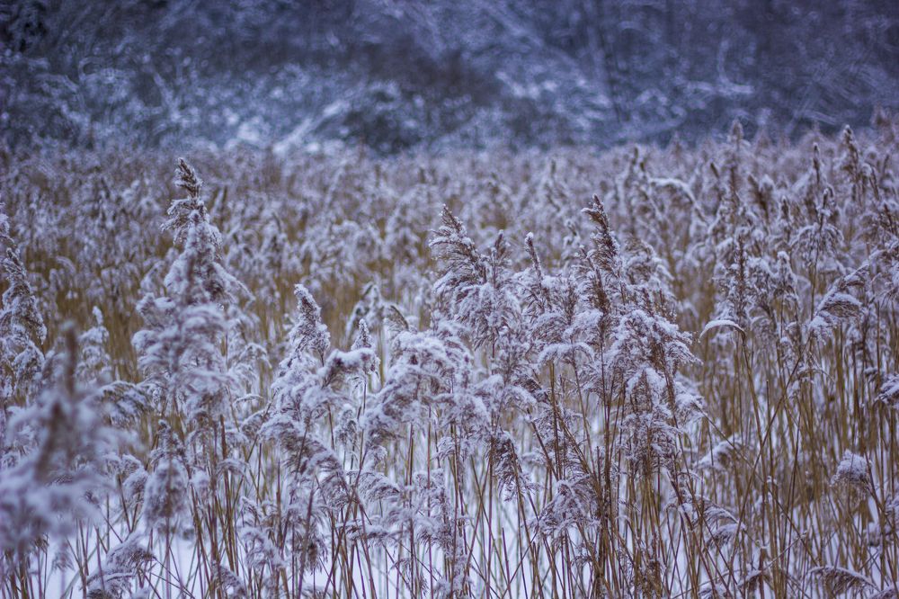Бывают такие места, где отдыхаешь душой и телом