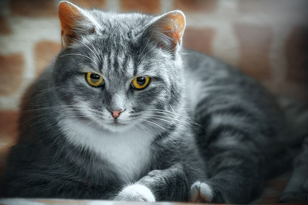 Photograph by Оксана Ильченко