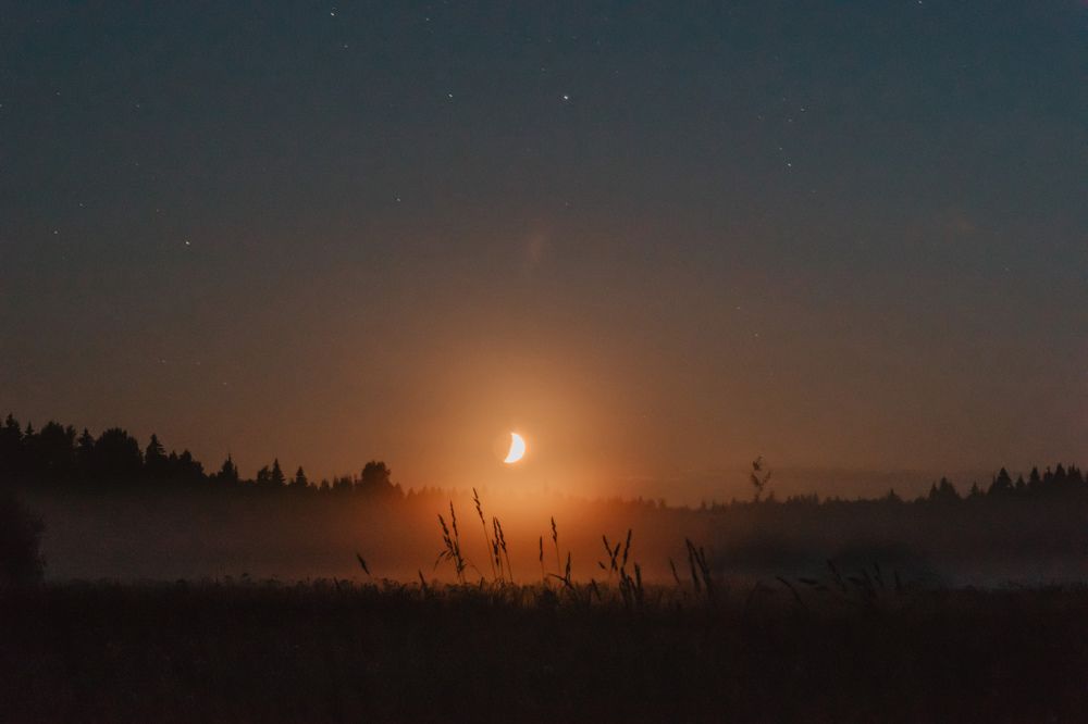 Photograph by Сергей