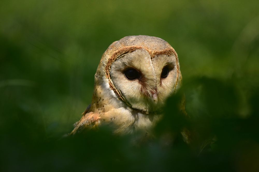 Photograph by Rayhan Rahman