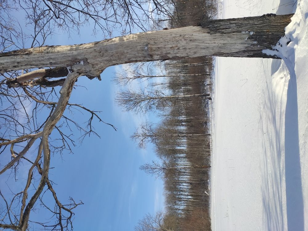 Зимний пейзаж