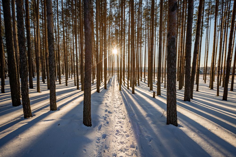 Photograph by Михаил Смирнов