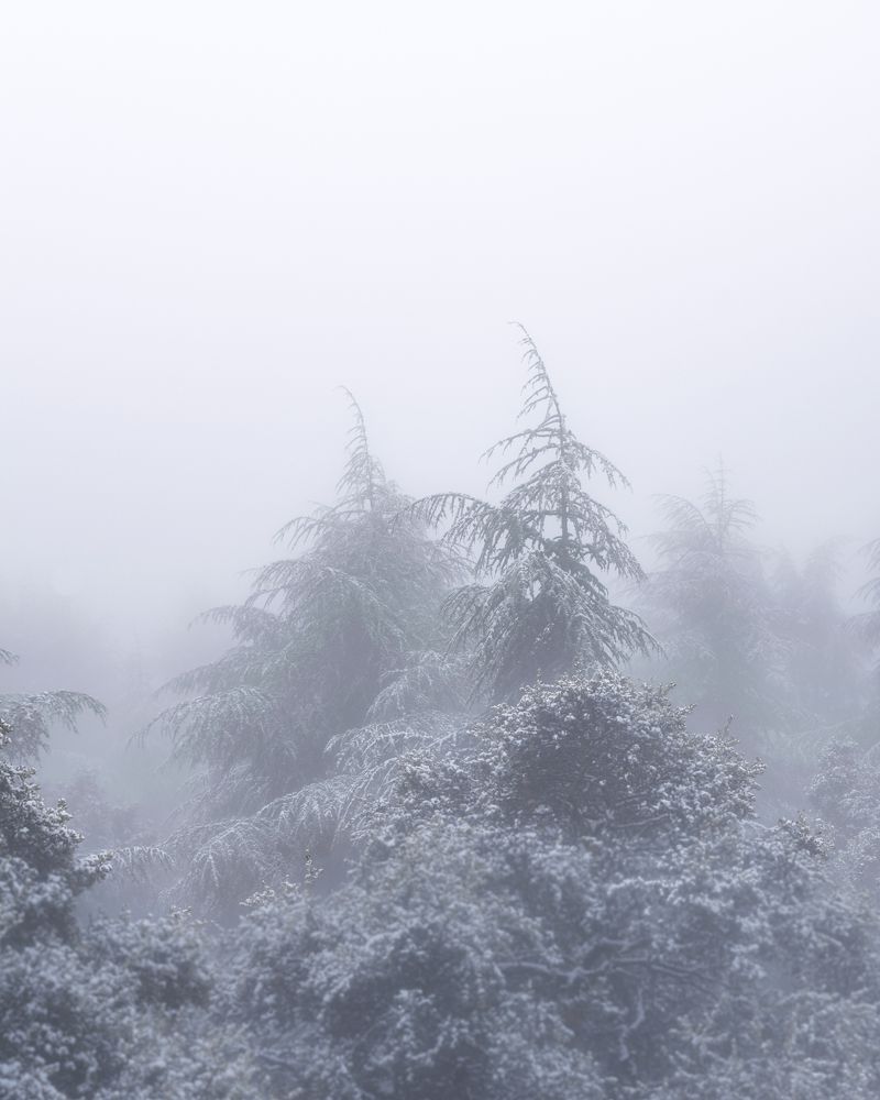 Photograph by MADJID MESSAOUD KHELIFI