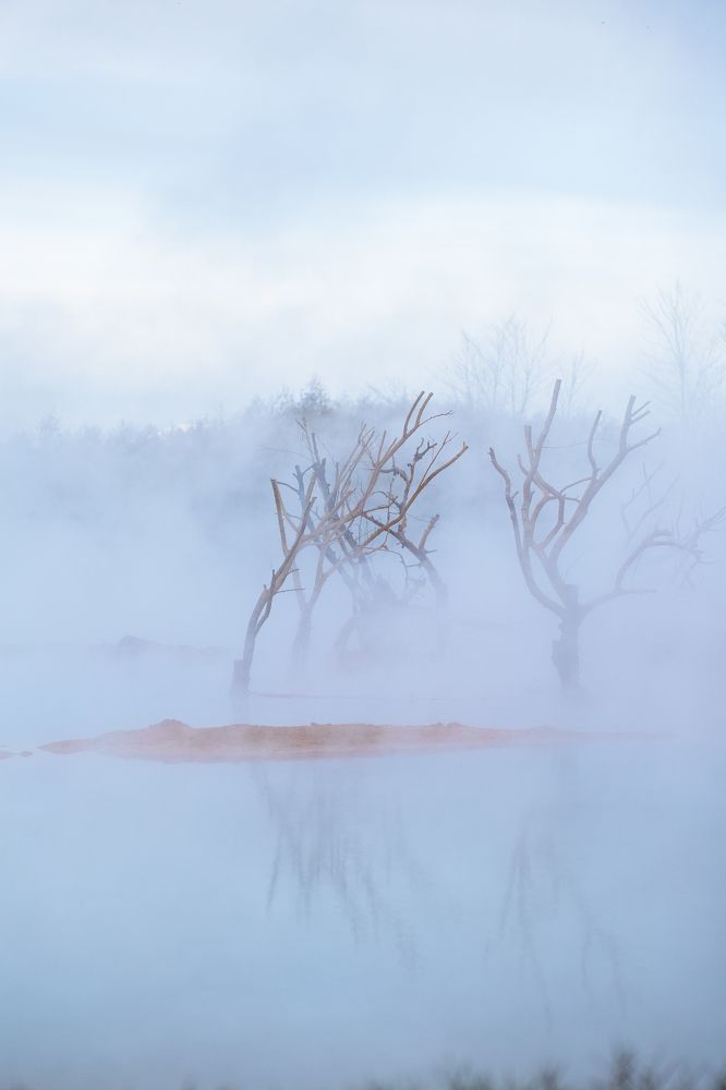 Photograph by Наталья Куровская
