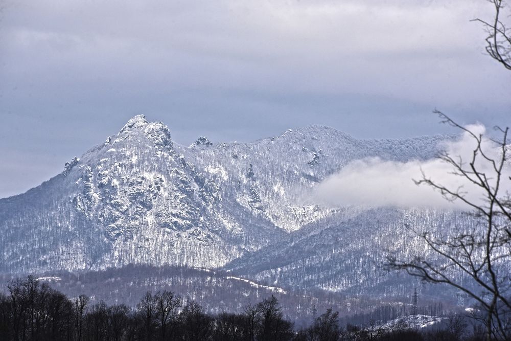 Photograph by Алексей Черкашин