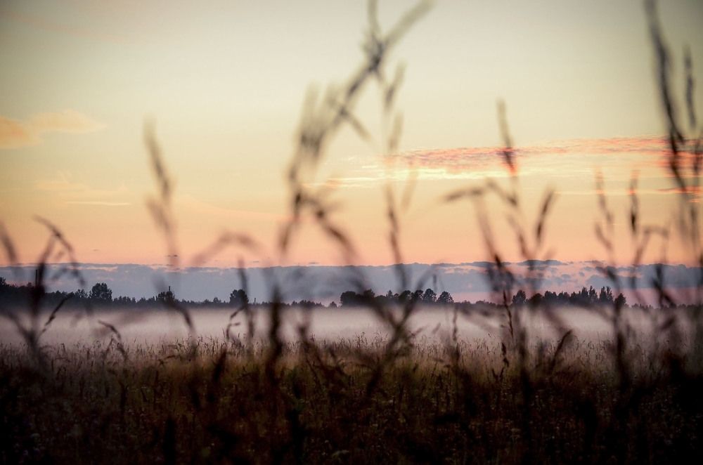 Photograph by Сергей Комаров