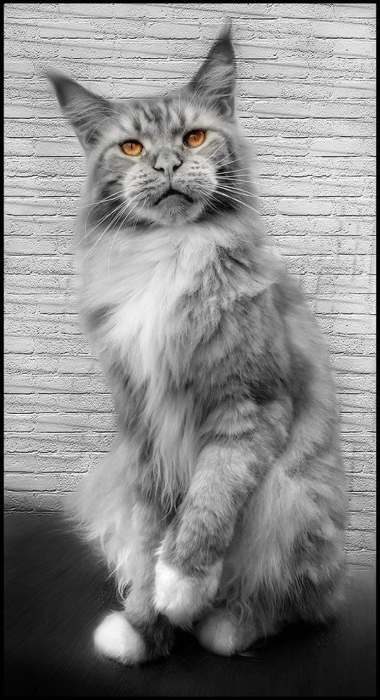 Photograph by Polina Svirida