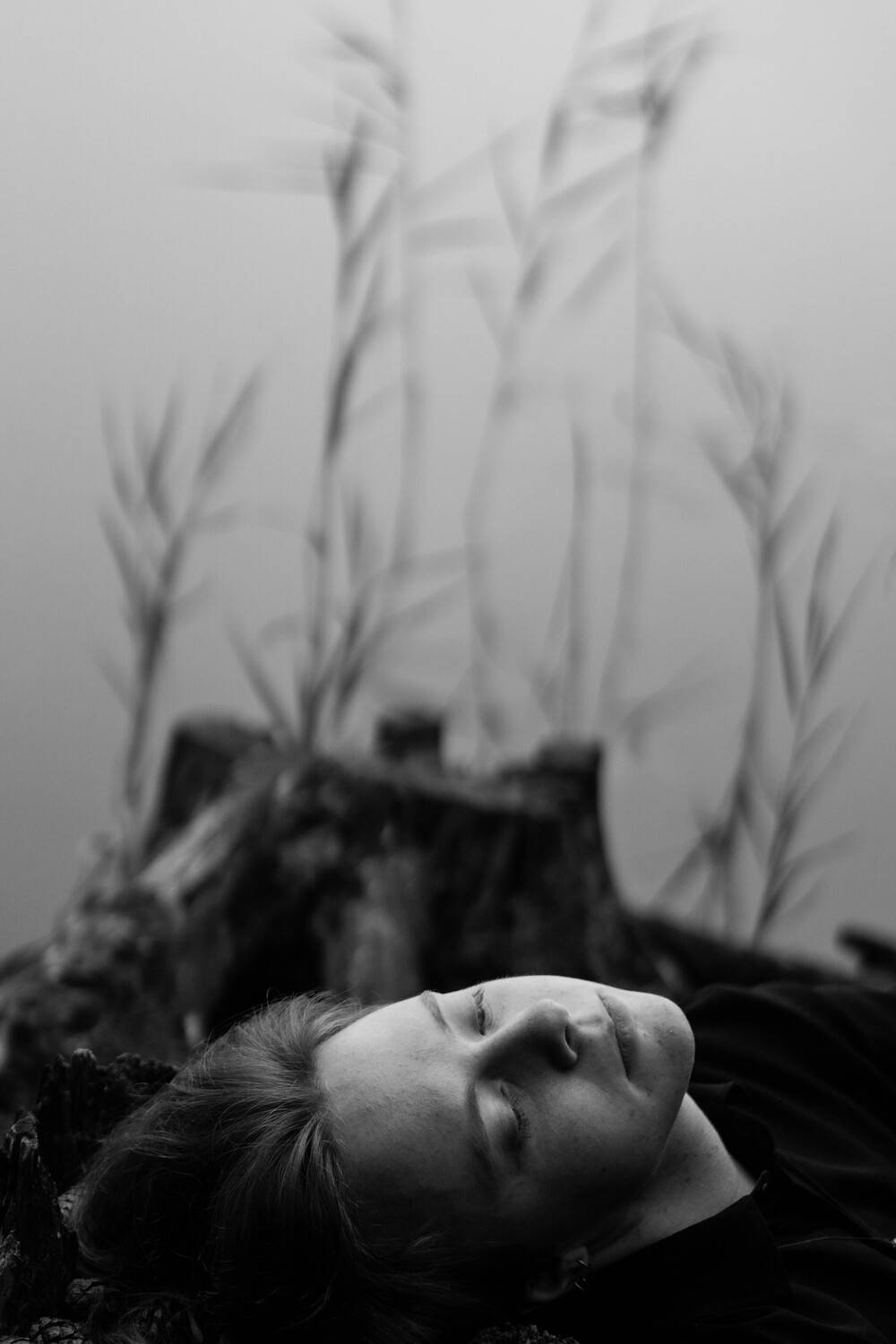 Photo #5695787