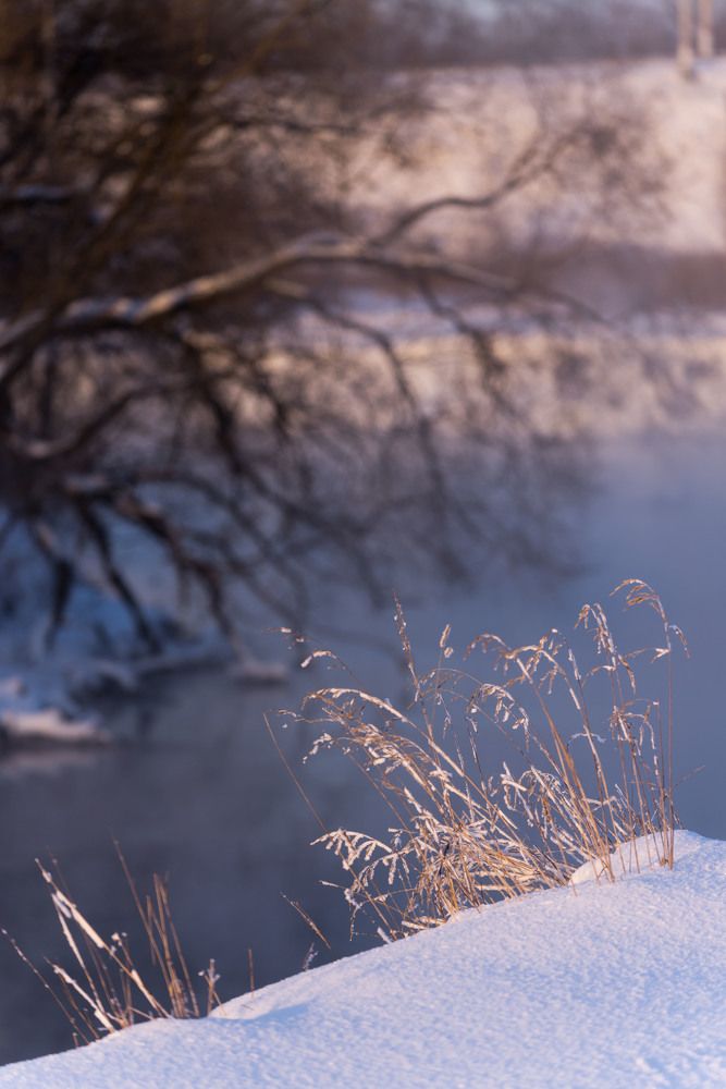 Photograph by Мария Чепрасова