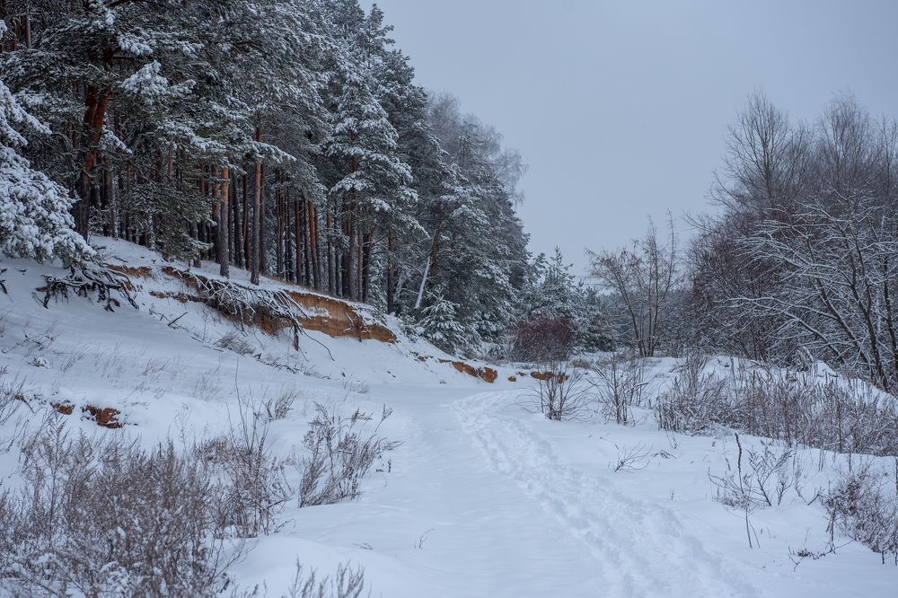 Photograph by Андрей Филатов