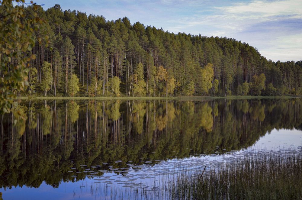 Photograph by Сергей Комаров