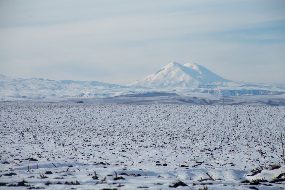 Photograph by Елизавета Можельская
