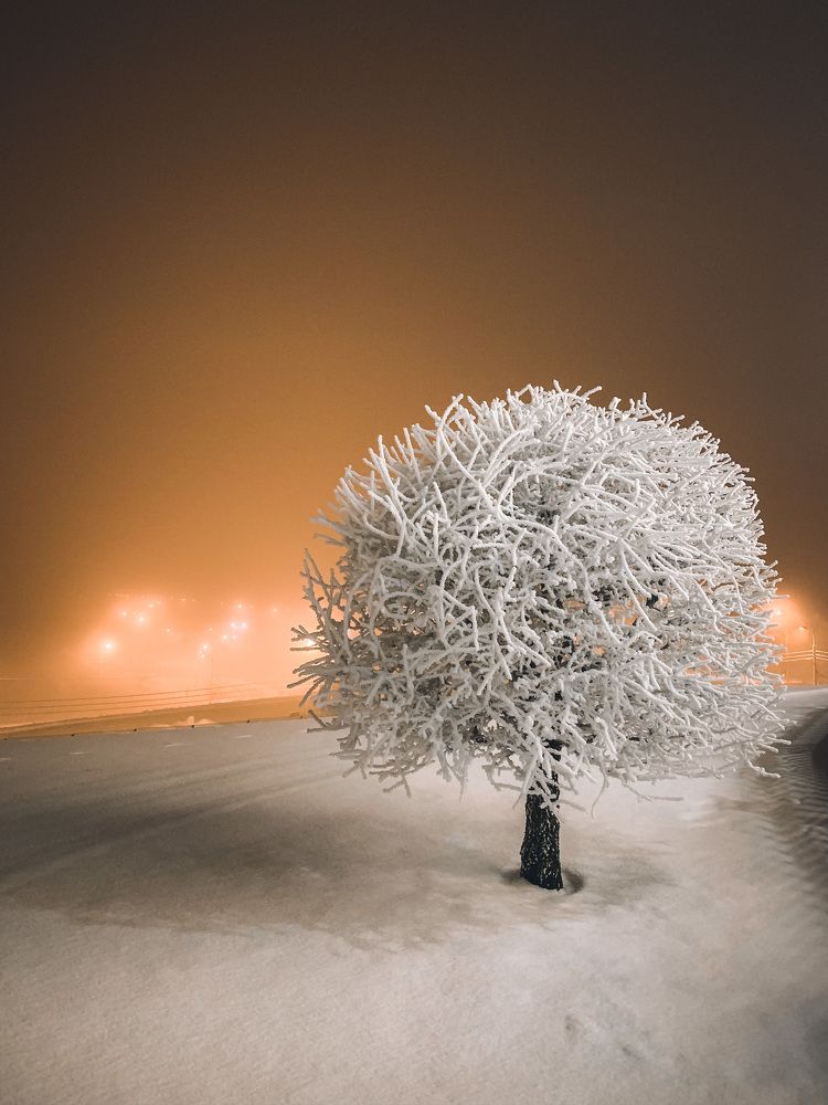 Зимняя сказка