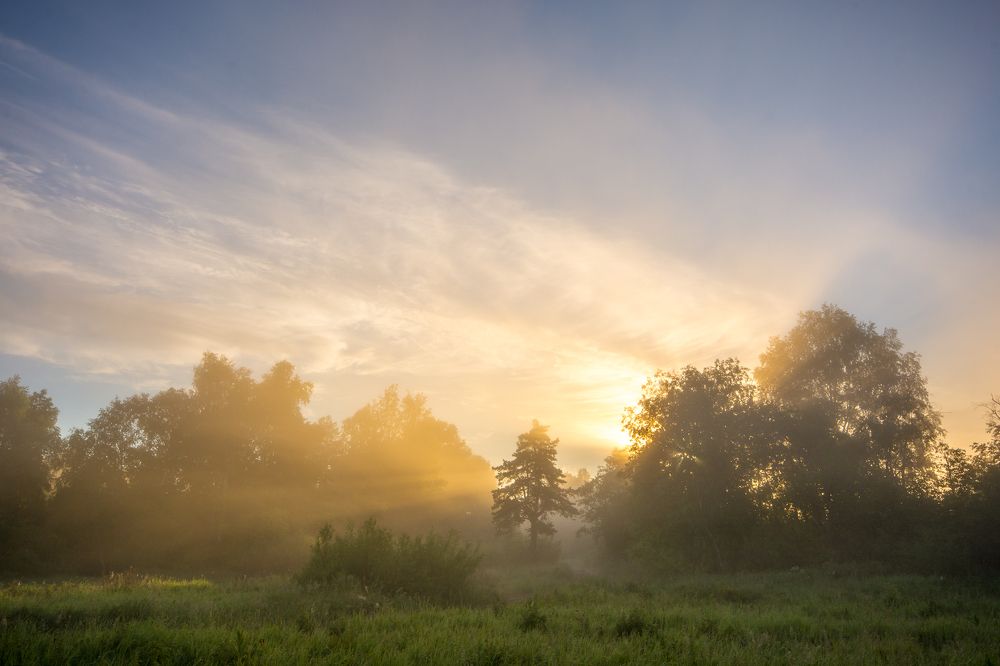 Photograph by Жданов Дмитрий