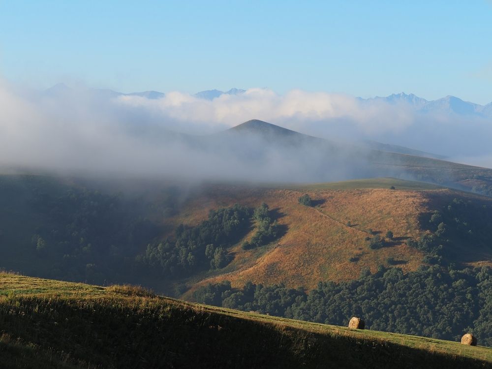 Photograph by Александр Баран