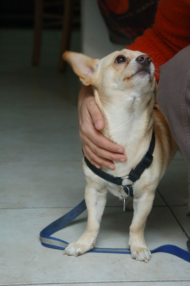 Фотография автора Ася Бабушкина