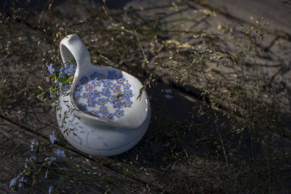 Photograph by Elena Kostochkina